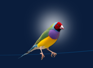 Bild von Responsible AgeTech